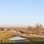Graugans By Interhome Freiburg (Lower Saxony)